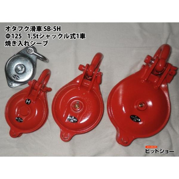 �I�^�t�N���ԁ@SB-5H�@��125�@1.5���V���b�N����1�ԁ@�Ă�����V�[�u