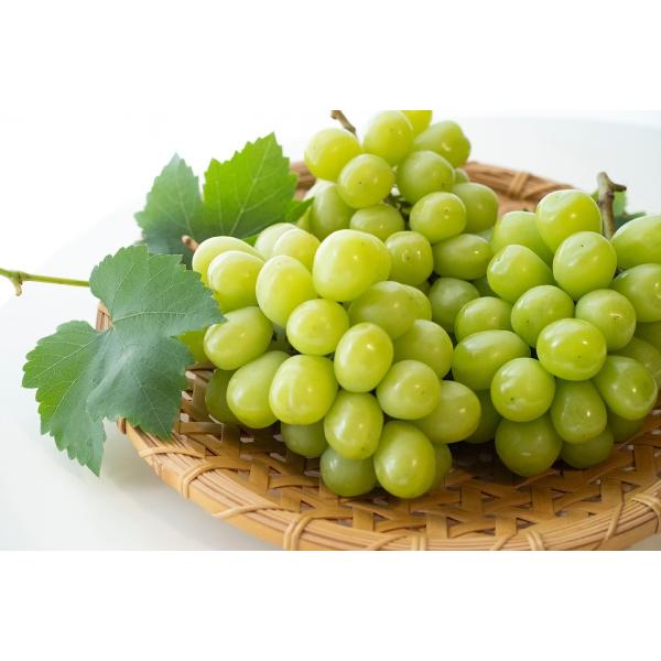 シャインマスカット　粒6k箱込み　クール便　KANA シャインマスカット 2房 9月上旬 クール便 ぶどう : HITA SHOP - 通販