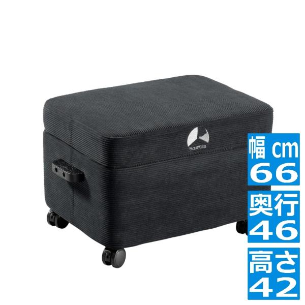 Bauhutte（バウヒュッテ） ストレージオットマン ブラック BOT-410-BK