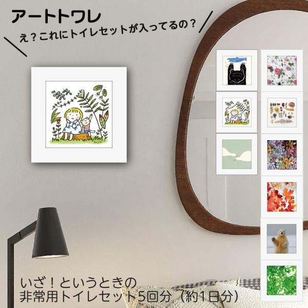 送料込み 長期10年保存　トイレ処理セット アートトワレ 　5回分（1日分）ホワイトボックス（抗菌性凝固剤×５，排便袋×5袋、大型外袋×2、フック×1）