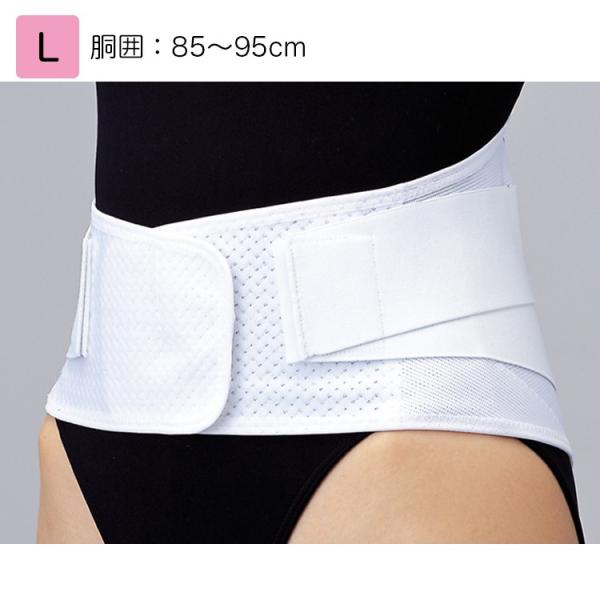 日本シグマックス マックスベルト me2 L 品番：322203（胴囲）：85