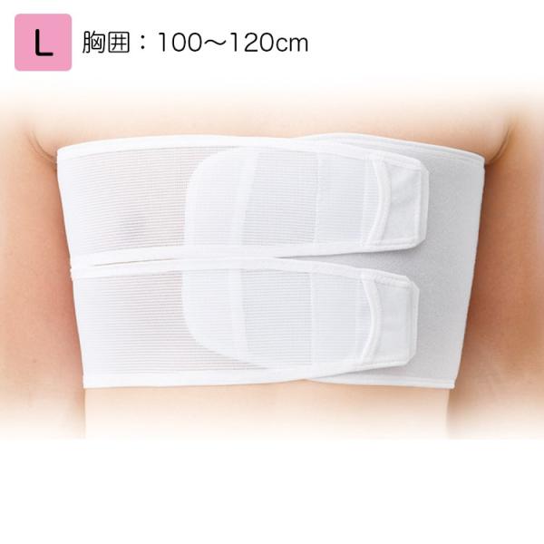 他サイト： 日本シグマックス 胸部固定帯 リブバンドフィット 規格：L 適用範囲（胸囲）：100〜120cm 品番：313403 胸部サポーター コルセットの商品画像