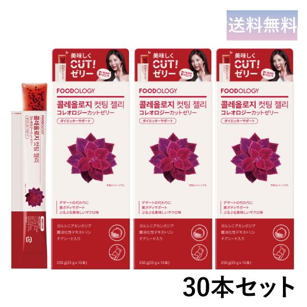 FOODOLOGY コレオロジーカットゼリー(ザクロ味) 30本 ぷるぷる