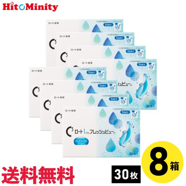 【8箱】ロート ワンデーフレッシュビュー リッチモイスト 1箱30枚入り コンタクトレンズ 1day