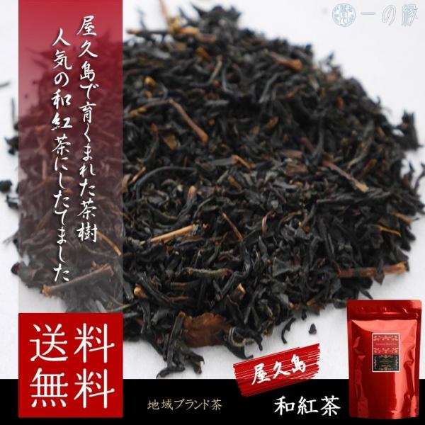 屋久島 和紅茶 70g×2袋(140g) 茶葉 メール便 送料無料