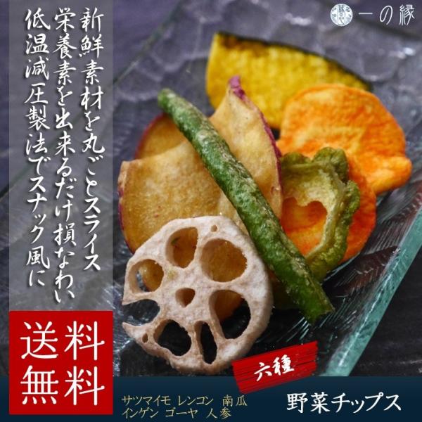 野菜農場 28g×5パック 6種類の野菜 低温減圧製法 スナック 野菜 野菜チップス メール便 送料無料