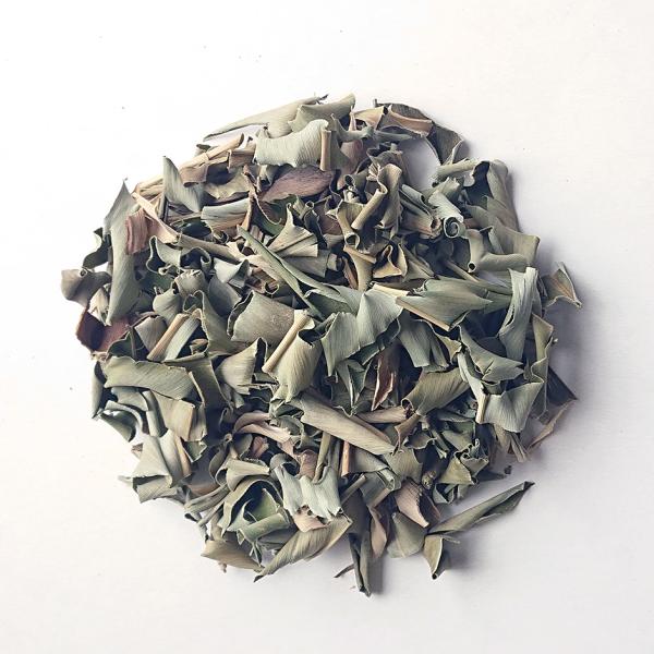 ◆【ゲットウ（月桃） 】◆ショウガ科ハナミョウガ属のゲットウ（月桃）は、常緑性多年草で熱帯から亜熱帯のアジアにかけて分布しています。日本では沖縄県で広く自生し、一部は九州南部にも分布しています。ショウガのような根茎が横に伸び、そこから茎（偽...