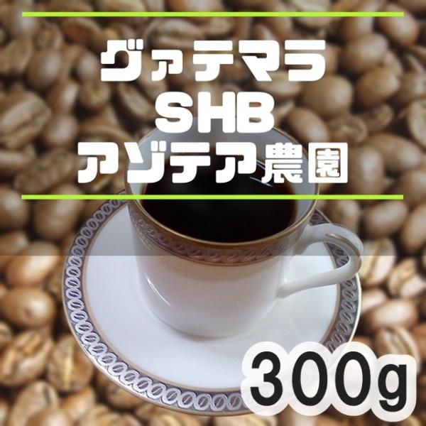 コーヒー豆 グアテマラSHBアゾテア農園 300ｇ 自家焙煎珈琲 中煎り :hc-s-004-300:自家焙煎ひつじcoffee webshop  通販 