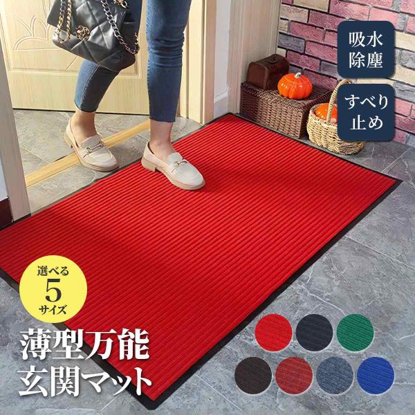 玄関マット 屋外 室内 用 ドアマット 玄関 マット フロア 風水 北欧 大きめ 業務用 吸水 40×60cm 50×80cm 60×90cm 80×120cm 120×150cm 無地 滑り止め