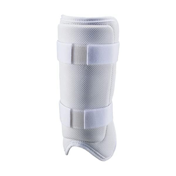 [bg(ZETT) 싅 ob^[p bOK[h Ep { zCg(1100) BLL320A