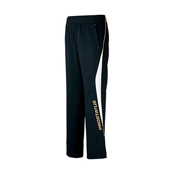 ZETT([bg) 싅 vXeC^X vXeg[jOpc hp ubN(1900) 2XO BPRO210P