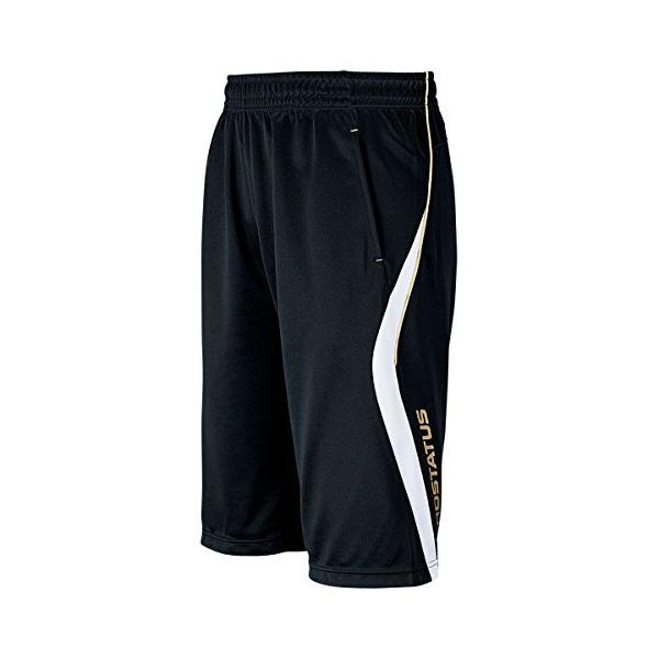 ZETT([bg) 싅 g[jO n[tpc vXeC^X BPRO220HP lCr[ M