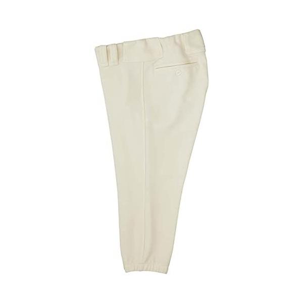 [bg(ZETT) 싅 jtH[ V[gtBbgpc AC{[(3100) 2XOTCY BU1836CP