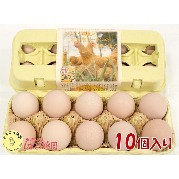 10個入 名古屋コーチンの有精卵 Ms L Buyee Buyee Japanese Proxy Service Buy From Japan Bot Online