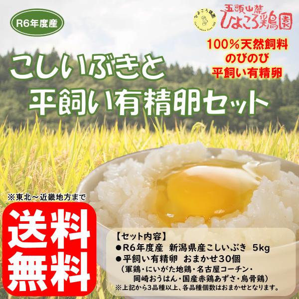 【送料無料(※東北から近畿地方まで)】令和6年度産 新潟県産こしいぶき(5kg)と平飼い有精卵 おまかせ30個のセット