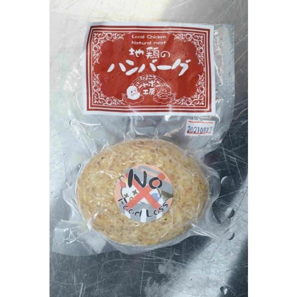 地鶏ハンバーグ（１２０ｇｘ２袋セット）※2023年リニューアル