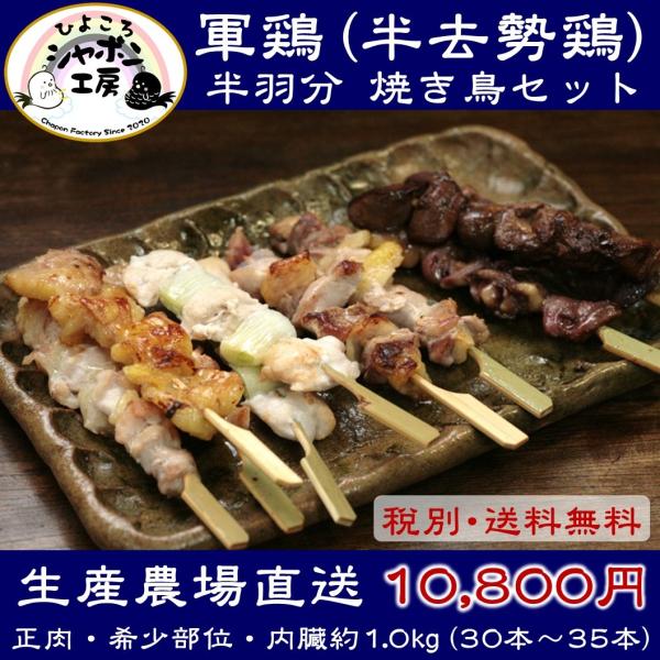 ※送料無料※放牧軍鶏(半去勢鶏)半羽分焼き鳥セット(総計約1.0kg)=30本以上=