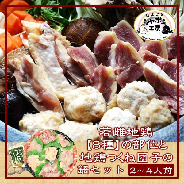 若雌地鶏の8種の部位と工房謹製地鶏つくね団子の鍋セット【2〜4人前】