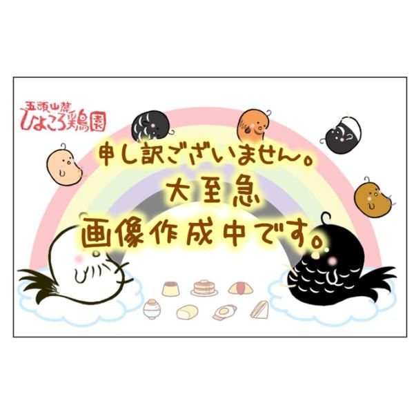 プリプリ若軍鶏オス(半去勢)丸っと一羽焼き鳥セット(総計約1.7kg)=48本以上=※2023年春新商品