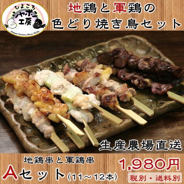 フライパンで焼ける!!地鶏と軍鶏の色どり焼き鳥セット【Aセット(11〜12本)】