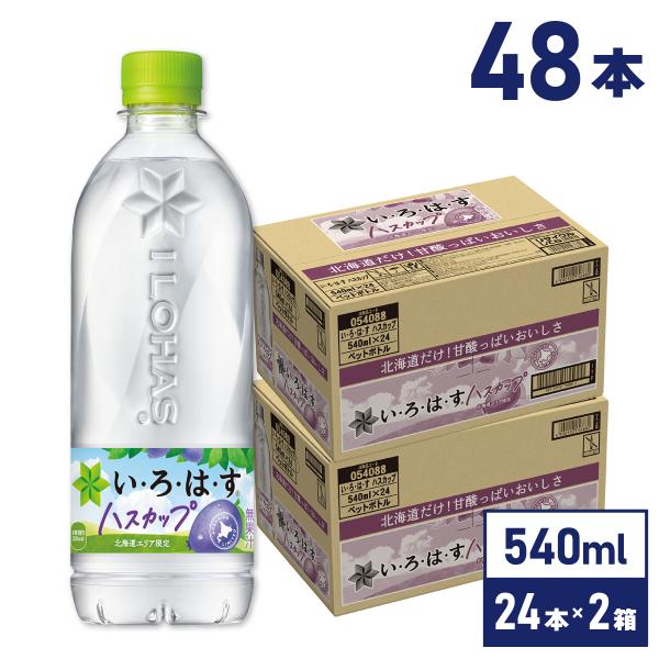 北海道限定 いろはすハスカップ 540mlPET×48本 送料無料 沖縄除く 爆買