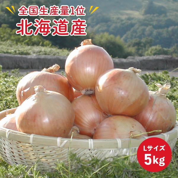 [Release date: January 9, 2026]JAきたみらい  北海道産 北見 玉ねぎ 5kg北海道JAきたみらいは生産量日本一の玉ねぎ産地で、2021年には「令和3年度（第６０回）農林水産祭　天皇杯」を受賞しています。全国...