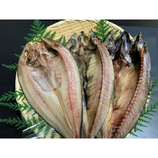 釧路北匠 北海道産 ほっけ にしん さば開きセット 約850g のし可能 お土産 爆買