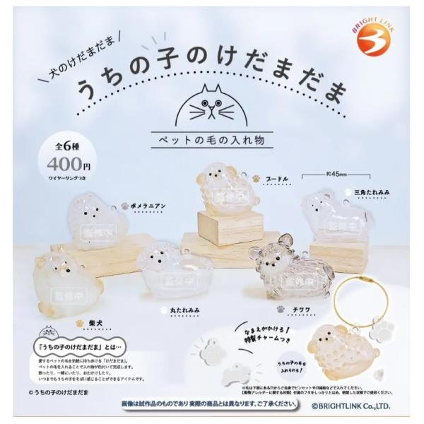 [Release date: December 31, 2025]