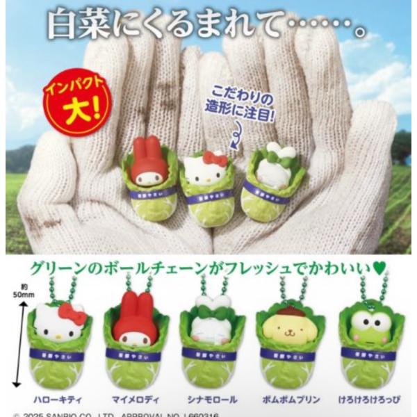 [Release date: April 30, 2026]