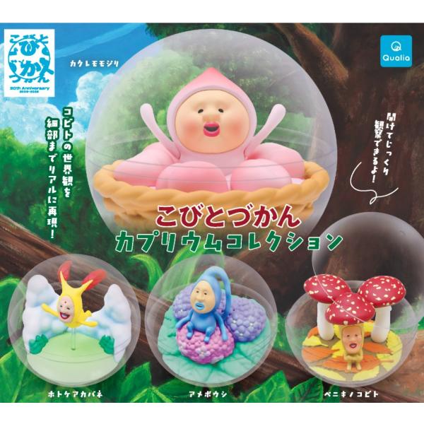 ガチャ【こびとづかんカプリウムコレクション 4種セット コンプリート】ガチャガチャ ガシャ