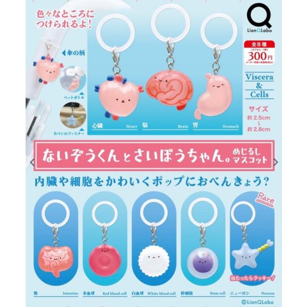2026年10月予約 ガチャ【ないぞうくんとさいぼうちゃん。めじるしマスコット シークレット付き 8種セット カプセルトイ】