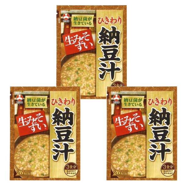 旭松食品 袋入 生みそずい ひきわり納豆汁 味噌汁 レトルト 即席みそ汁 (3食入り, 3個)