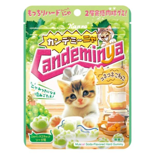 カンロ カンデミーニャグミ コネコネこねこ 60g×6袋 賞味期限 2026.9.30 ポスト投函での配達