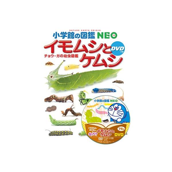 小学館の図鑑NEO) イモムシとケムシ DVDつき チョウ・ガの幼虫図鑑 : kizu9784092172234j : 枚方 蔦屋書店 Yahoo!店 - 通販 - Yahoo!ショッピング 小学館の図鑑NEO) イモムシとケムシ DVDつき チョウ・ガの幼虫図鑑 : kizu9784092172234j : 枚方 蔦屋書店 Yahoo!店 - 通販 - Yahoo!ショッピング