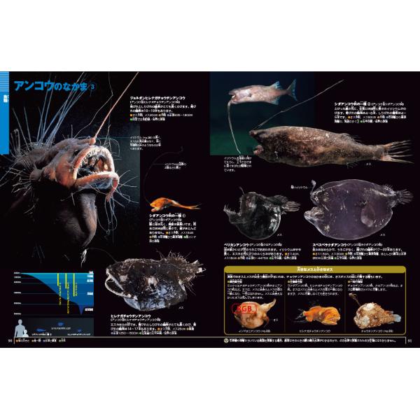 小学館の図鑑NEO) 深海生物 DVDつき | JChereヤフーショッピング