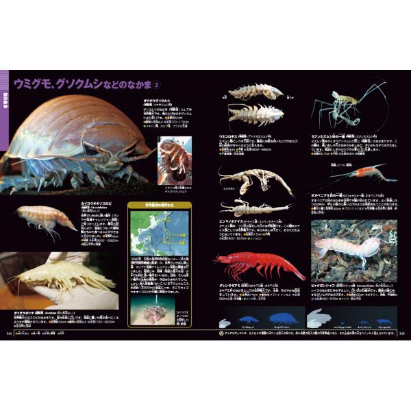 小学館の図鑑NEO) 深海生物 DVDつき | JChereヤフーショッピング