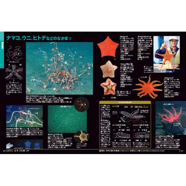 小学館の図鑑NEO) 深海生物 DVDつき | JChereヤフーショッピング