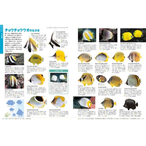 小学館の図鑑neo 新版 魚 ｄｖｄつき Buyee Buyee 日本の通販商品 オークションの代理入札 代理購入