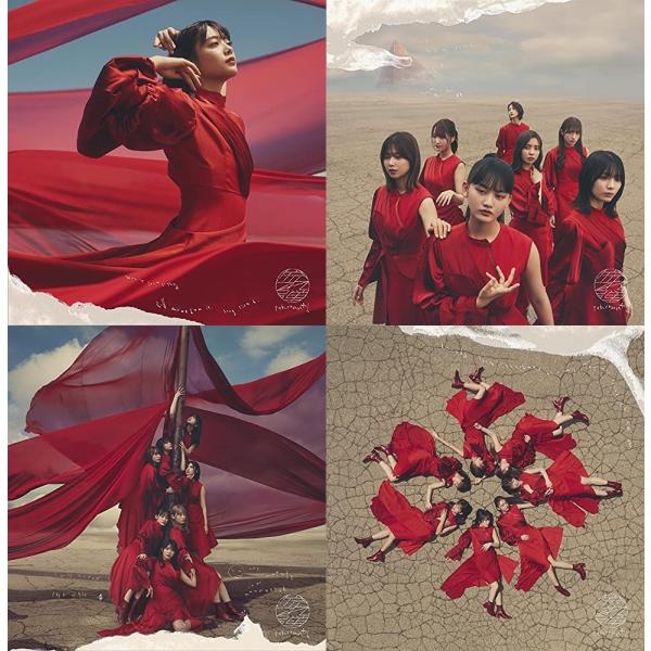 櫻坂46 流れ弾〜UDAGAWA 初回A.B.C.D 櫻坂46】流れ弾 初回仕様盤 タイプA＋B＋C＋D ABCD 計4枚セット