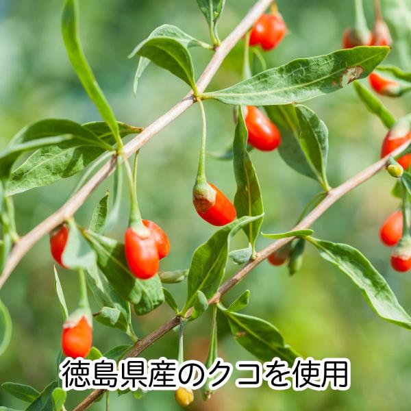 国産クコ茶30パック 徳島県産 農薬不使用 枸杞茶 くこ茶 Buyee Buyee 日本の通販商品 オークションの代理入札 代理購入