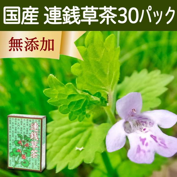 国産 連銭草茶7g 30パック カキドオシ茶 カキドウシ茶 徳島県産 濃厚な煮出し用ティーバッグ 農薬不使用 ティーパック 自然健康社 Buyee Buyee 日本の通販商品 オークションの代理入札 代理購入