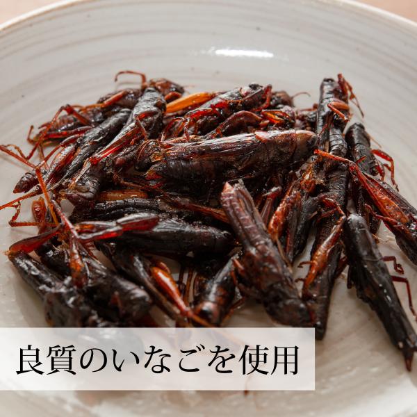 イナゴの佃煮 1kg いなご 甘露煮 珍味 昆虫食 小えび 食感 Buyee 日本代购平台 产品购物网站大全 Buyee一站式代购 Bot Online