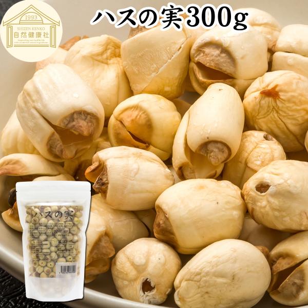 ハスの実 300g 蓮の実 はすの実 ドライ 無添加 餡に 無漂白
