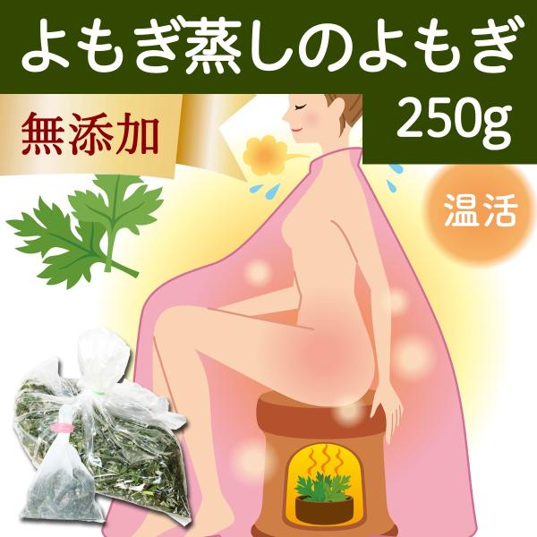 自宅 よもぎ蒸し ビューティー ヘルスの通販 価格比較 価格 Com