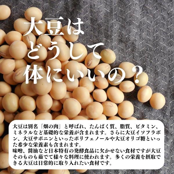 �哤 1kg ���Y �k�C���Y �g���}�T�� �Ƃ�܂��� ���L�z�}�� ���� ���Y�� ���X�p �����p ���� ���i�摜4