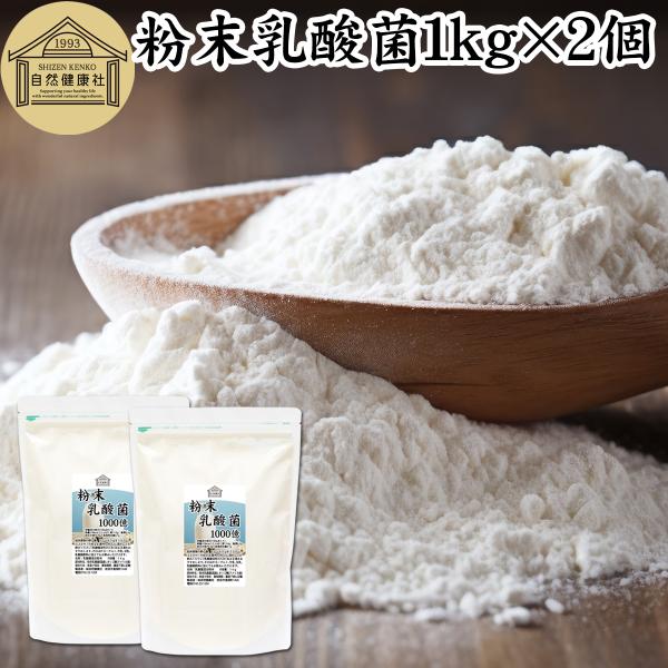 粉末乳酸菌2kg 1kg 2袋 無添加 プロバイオティクス 乳酸菌入りスムージーにも 善玉菌 Buyee Buyee Japanischer Proxy Service Kaufen Sie Aus Japan