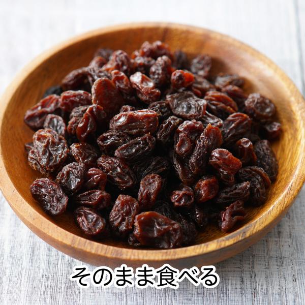 干しブドウ600g 砂糖不使用 レーズン アントシアニン ドライフルーツ Buyee Buyee 日本の通販商品 オークションの代理入札 代理購入