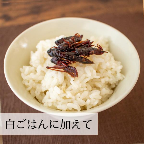 イナゴの佃煮 150g いなご 甘露煮 珍味 昆虫食 小えび 食感 Buyee 日本代购平台 产品购物网站大全 Buyee一站式代购 Bot Online