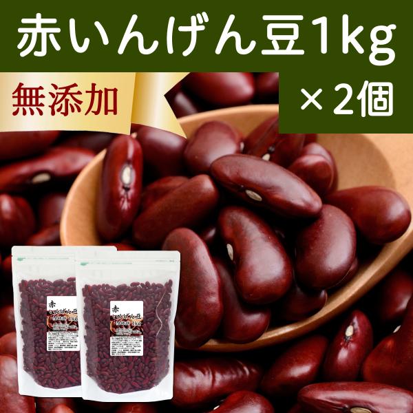 赤 いんげん豆 1kg×5個 金時豆 インゲン豆 レッドキドニー ビーンズ 送料無料