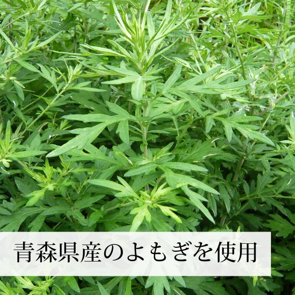 よもぎ粉末 0g 2個 よもぎパウダー よもぎ茶 ヨモギ粉 国産 Buyee 日本代购平台 产品购物网站大全 Buyee一站式代购 Bot Online